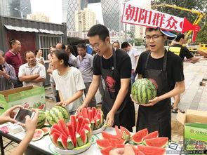 51朝阳吃瓜群众,揭秘吃瓜群众的幕后故事